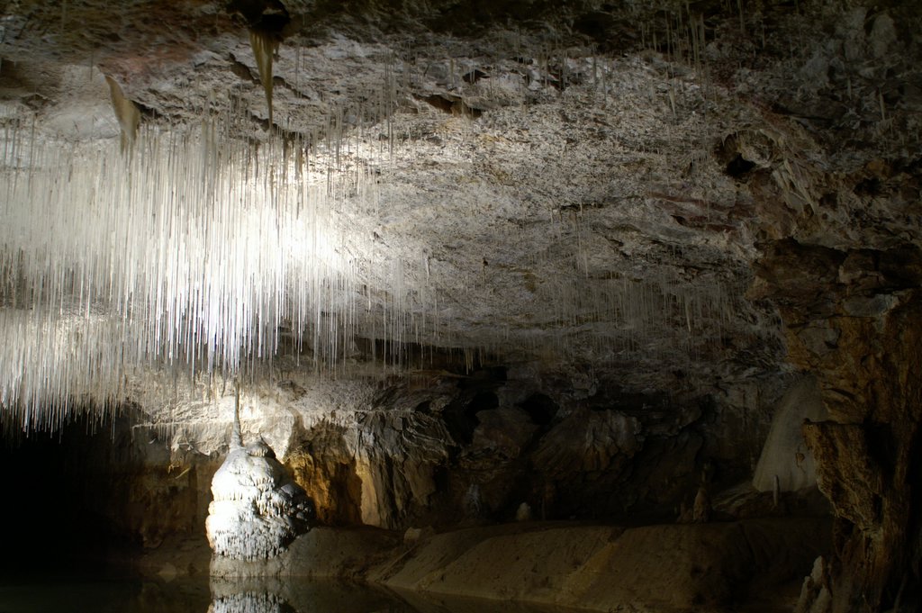 Mardi 25 - Les grottes de Choranche